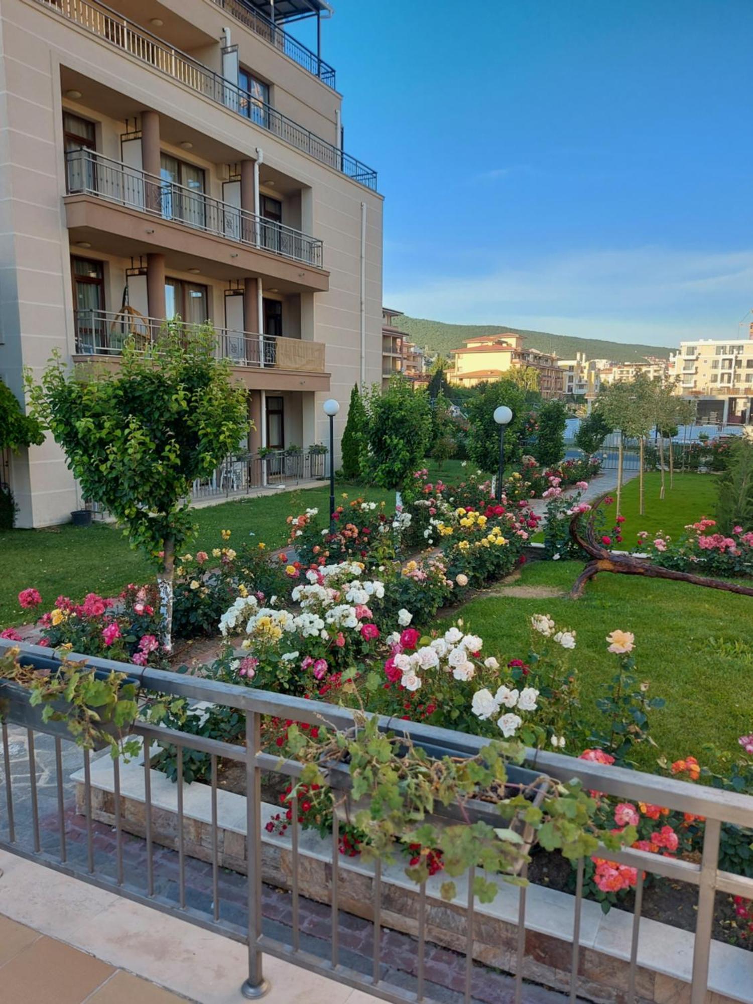 Charming Studio In Sorrento Sole Mare Sveti Vlas Extérieur photo